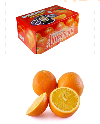 美国新奇士橙 7.0kg