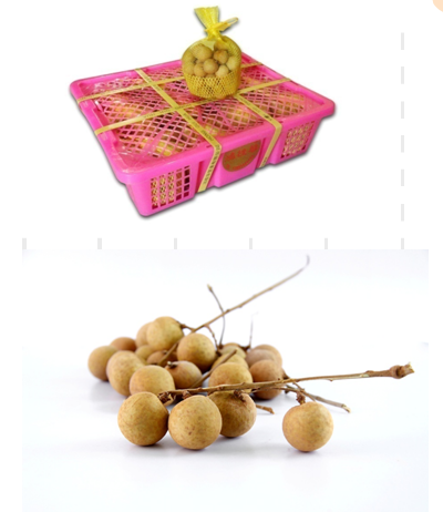 泰国龙眼 5.0kg