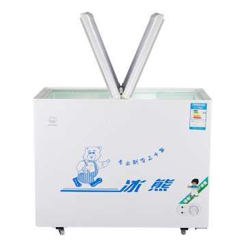 冰熊（BingXiong）BD/BC-220 220升冷藏冷冻转换柜 冰柜 冷柜卧式
