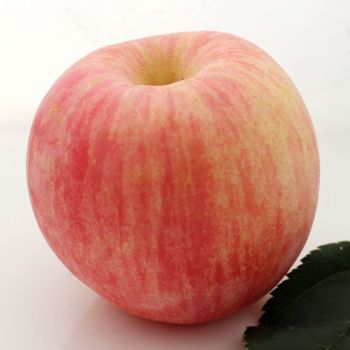 [生态水果] 山东富士苹果水果礼盒4500g